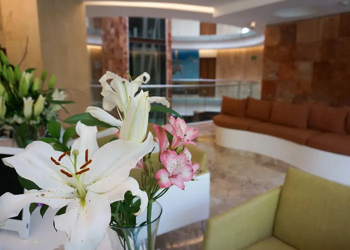 Hotel Senses Quinta Avenida Adults Only By Artisan